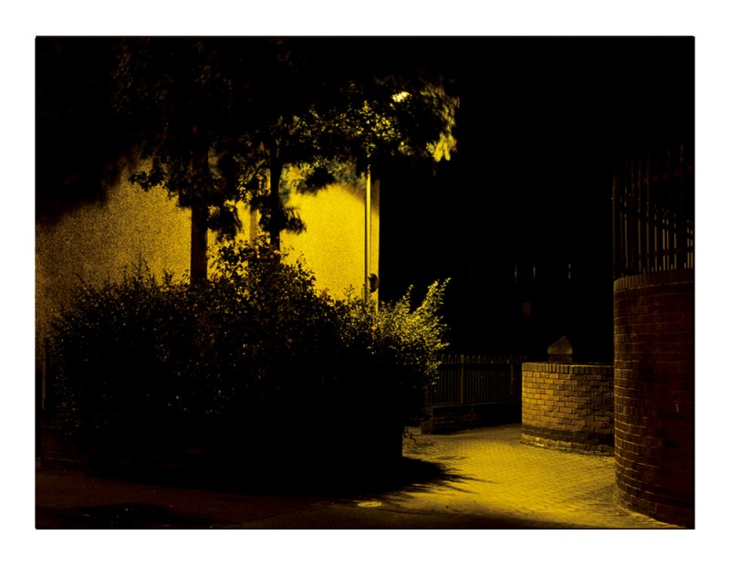website-18